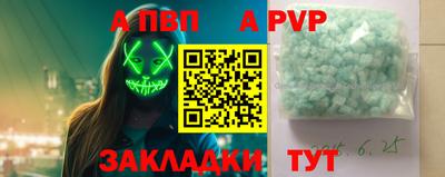 дурь Кингисепп
