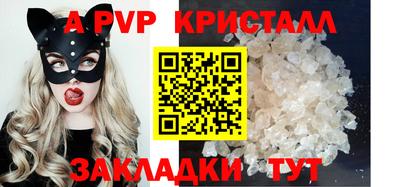дурь Кингисепп