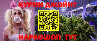 дурь Кингисепп