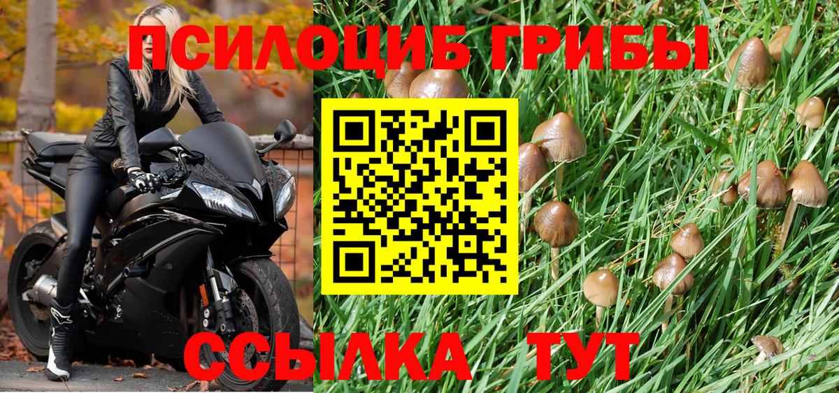 Галлюциногенные грибы GOLDEN TEACHER Хабаровск